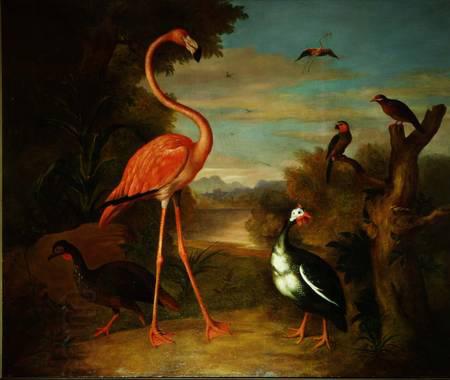 Jakob Bogdani Flamingo and Other Birds in a Landscape
